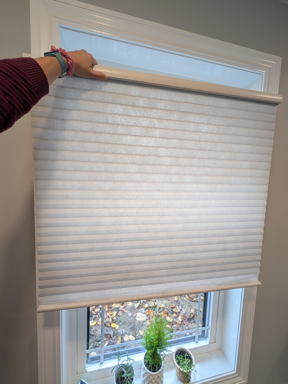 SELECT BLINDS Classic Light Filtering Cordless Cellular Shades 39.75" X 32.25"